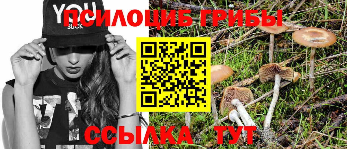 Большой Камень  продажа наркотиков  Галлюциногенные грибы ЛСД  Вход с VPN  Псилоцибиновые грибы GOLDEN TEACHER 