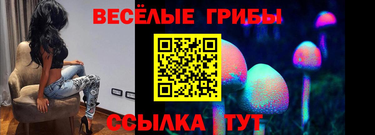 Галлюциногенные грибы MAGIC MUSHROOMS Большой Камень